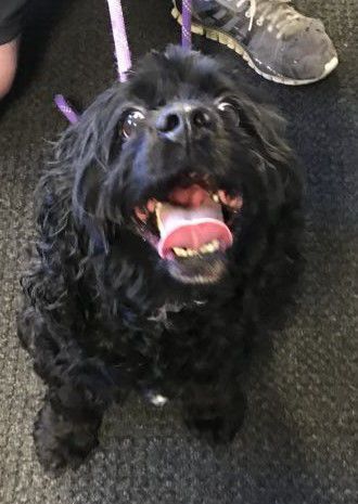 Ella